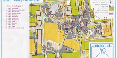 Kart Эпсом Oakland