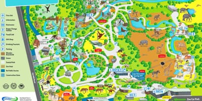 Kart Оклендского zoo